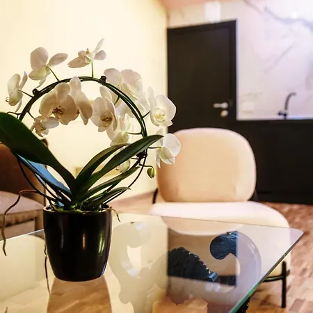 Aurum - Luxury Pensión